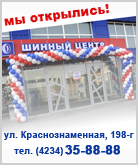 Зимние шины Sonny