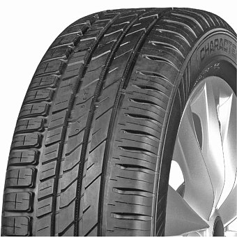 Ikon Tyres Character Eco